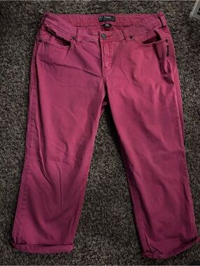 Silver Jeans Maroon Suki Capri